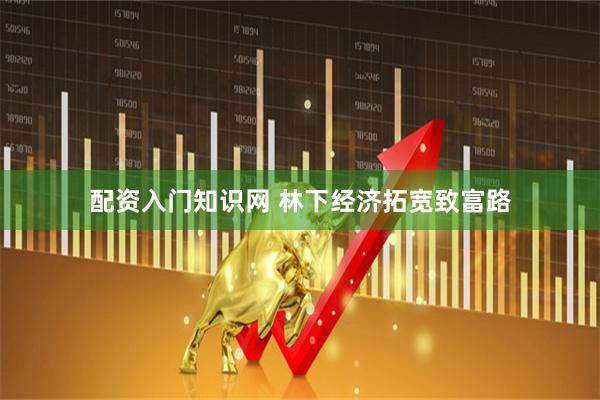 配资入门知识网 林下经济拓宽致富路